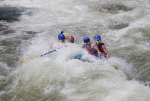 DSC_0976-768x514
