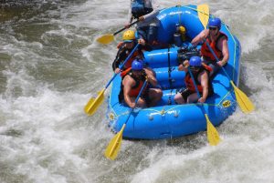 DSC_0979-768x514